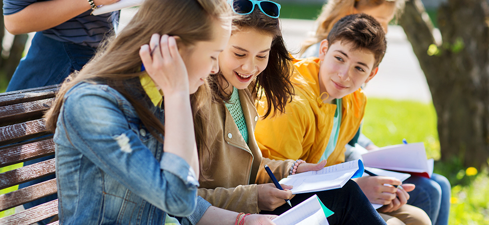 foto Samenwerkingsverband Voortgezet Onderwijs Westland